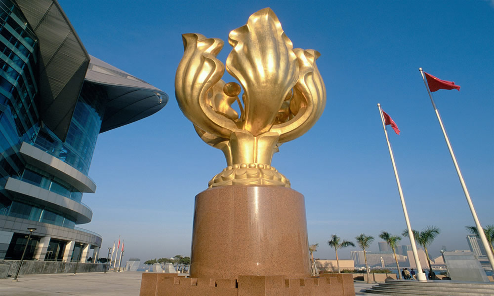 Golden Bauhinia Square