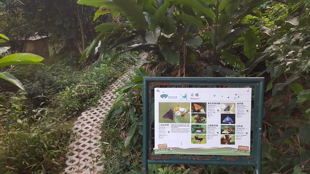 Fung Yuen Butterfly Reserve