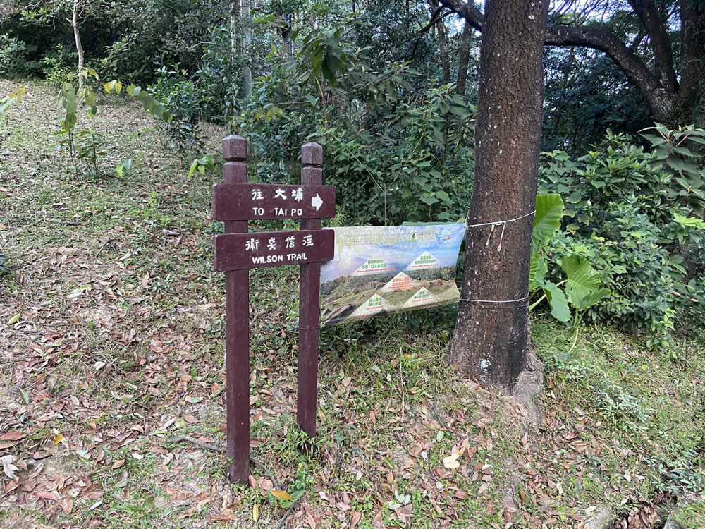 Wilson Trail (Tai Po sections)