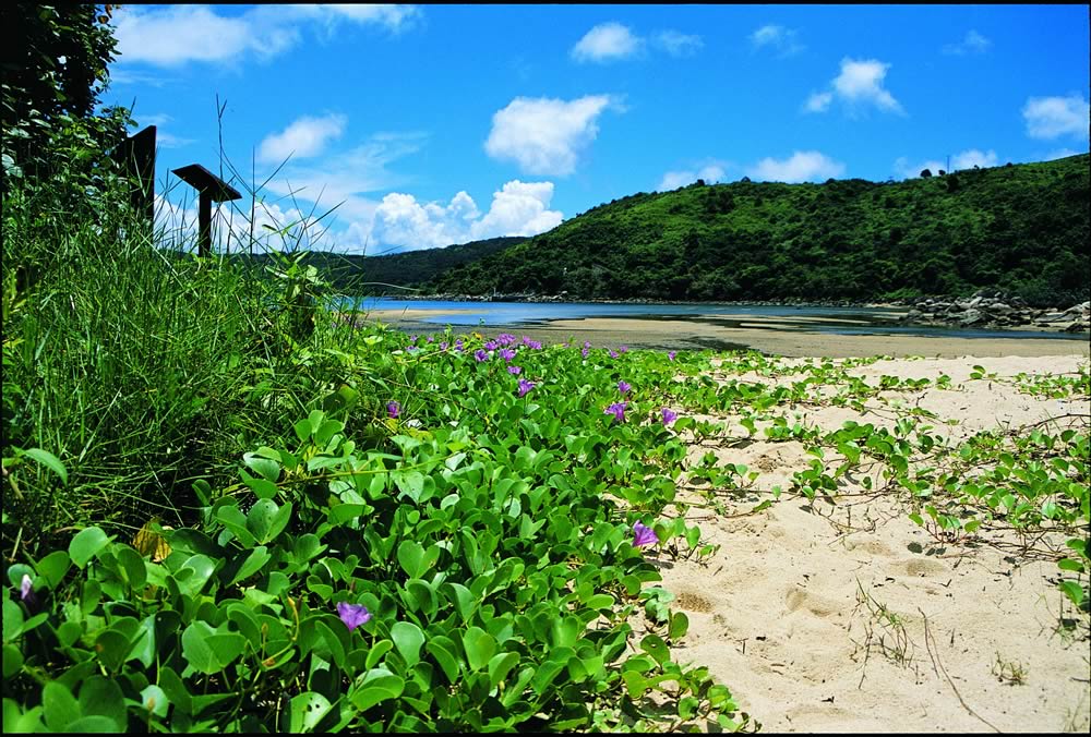 海下湾海岸公园