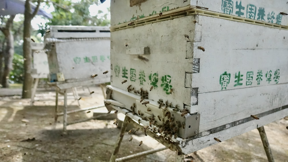 Po San Yuen Bee Farm