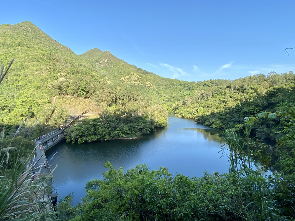 鹤薮水塘