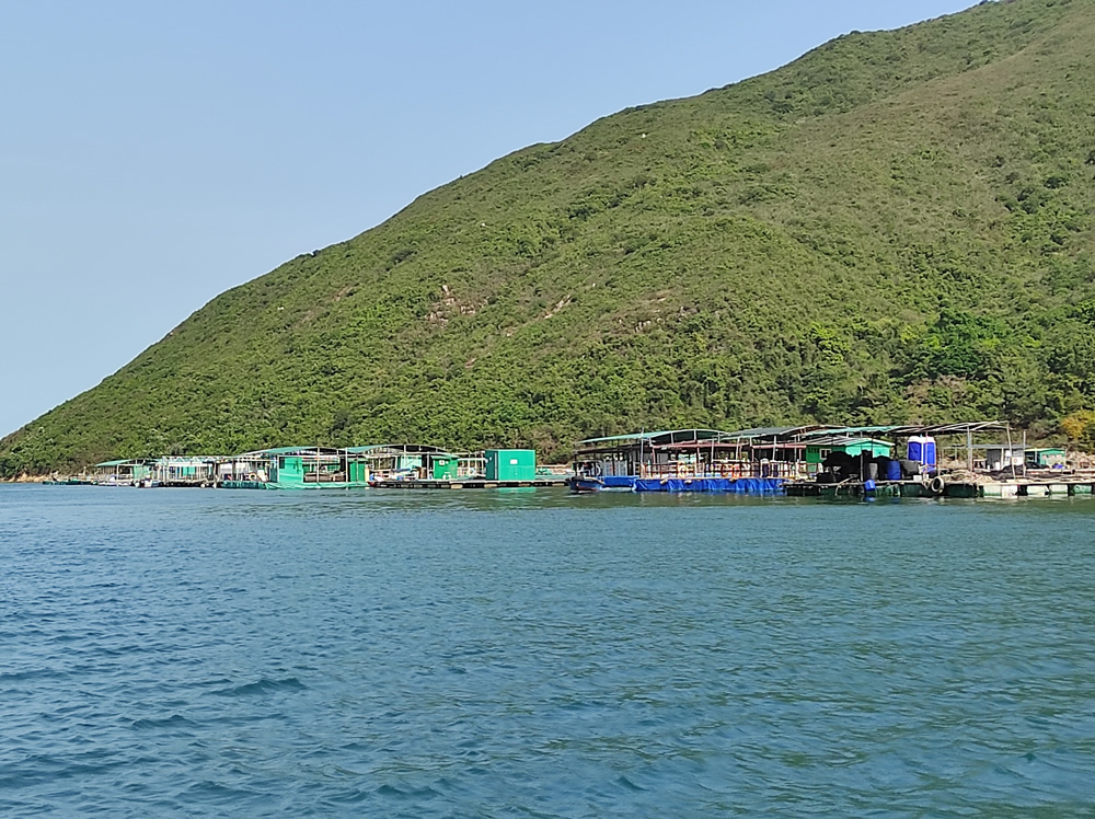 滘西洲魚類養殖區