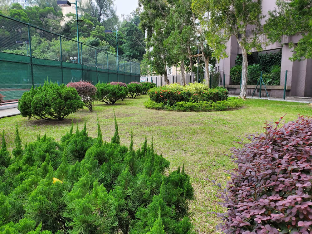 Morse Park & Wong Tai Sin Cultural Garden