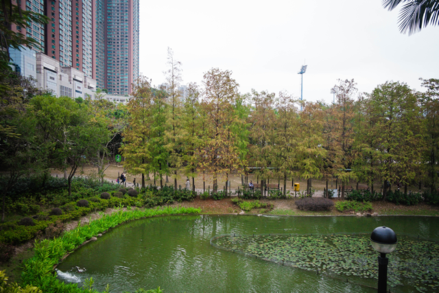 Tsing Yi Park