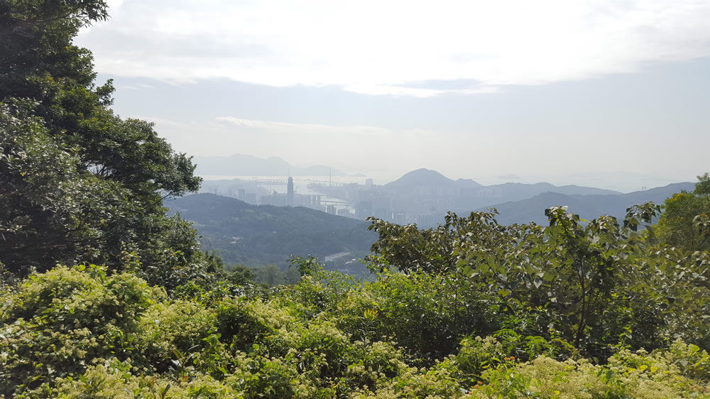 Tai Mo Shan Country Park