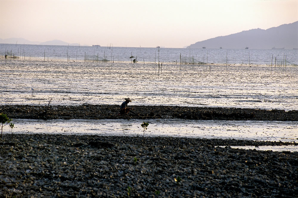Lau Fau Shan