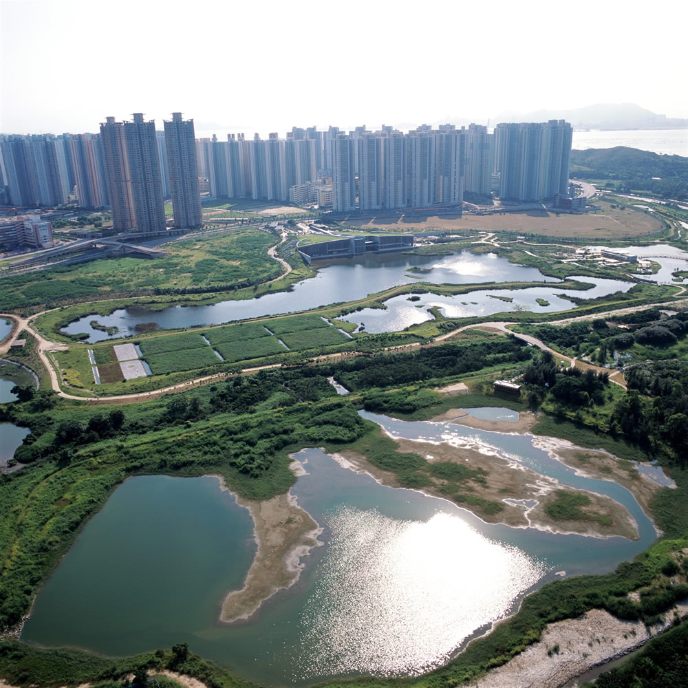 香港濕地公園