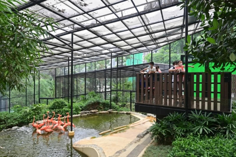 The Hong Kong Zoological and Botanical Gardens