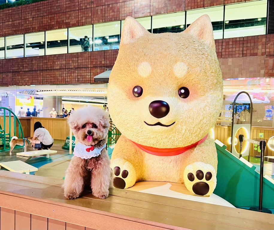New Town Plaza photo5