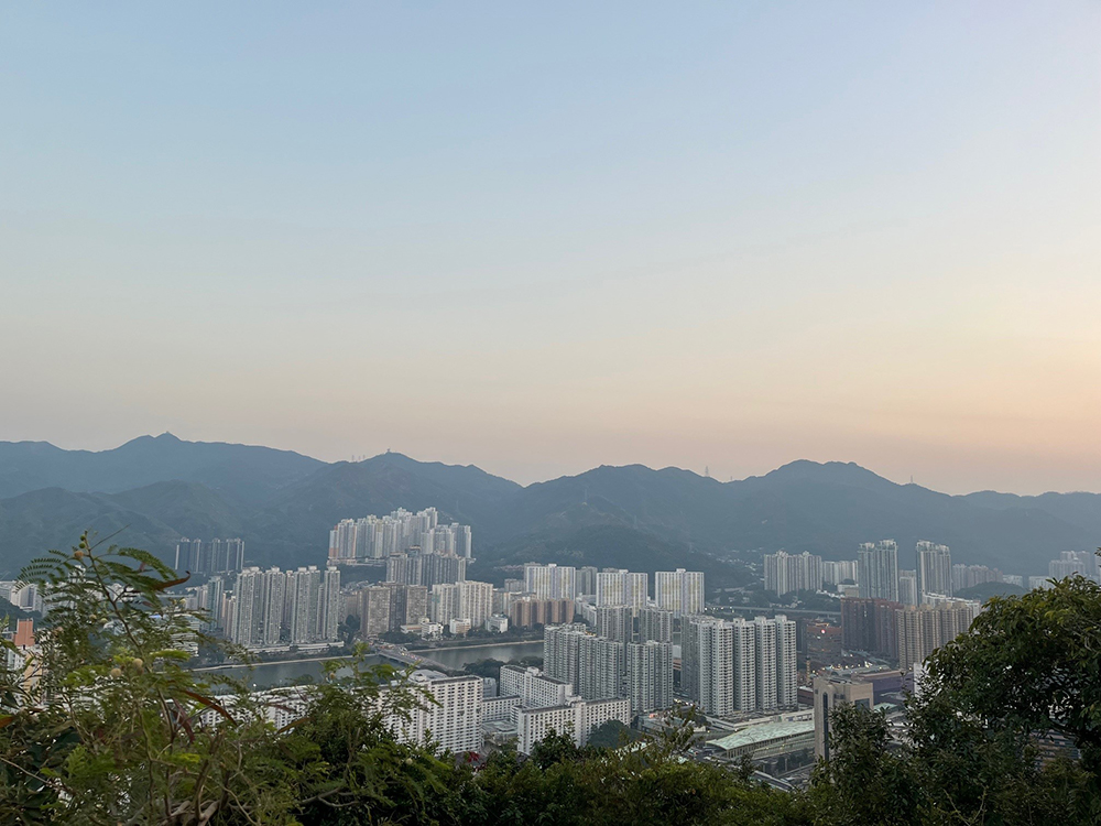 Lions Pavilion photo4