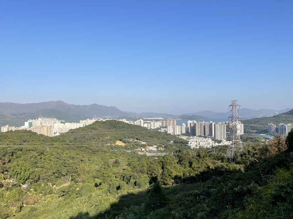 衞奕信徑(大埔段)圖片6
