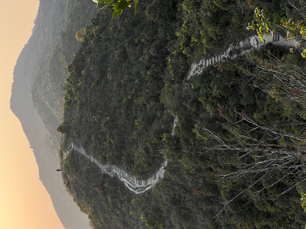 衛奕信徑(大埔段)圖片10