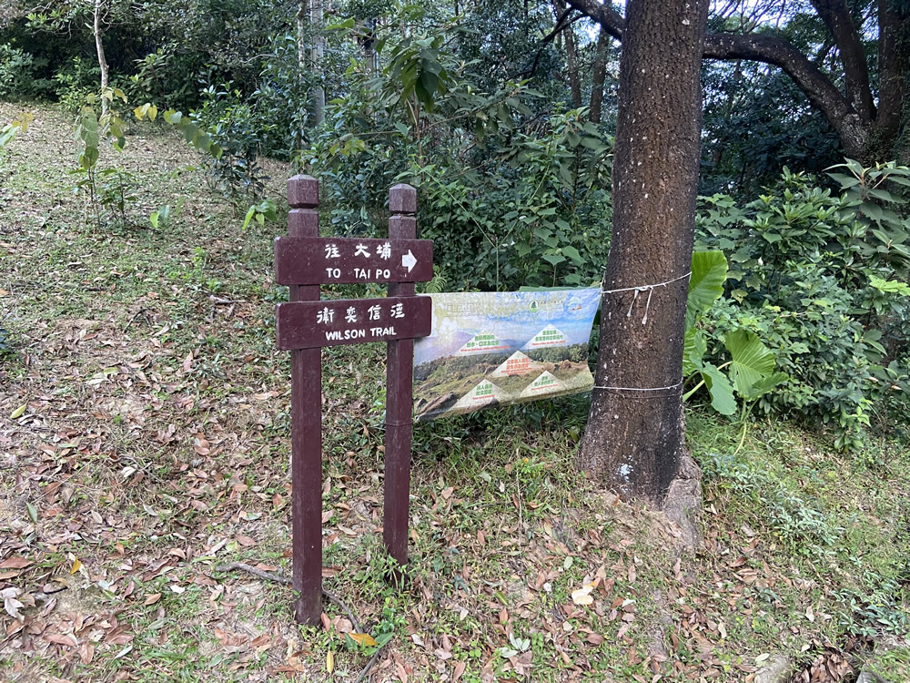 衞奕信徑(大埔段)圖片3