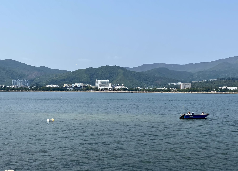 吐露港单车径图片3