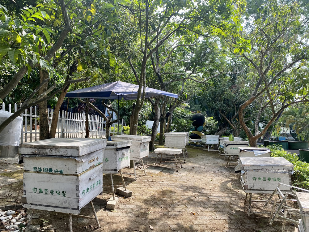 宝生园养蜂场图片2