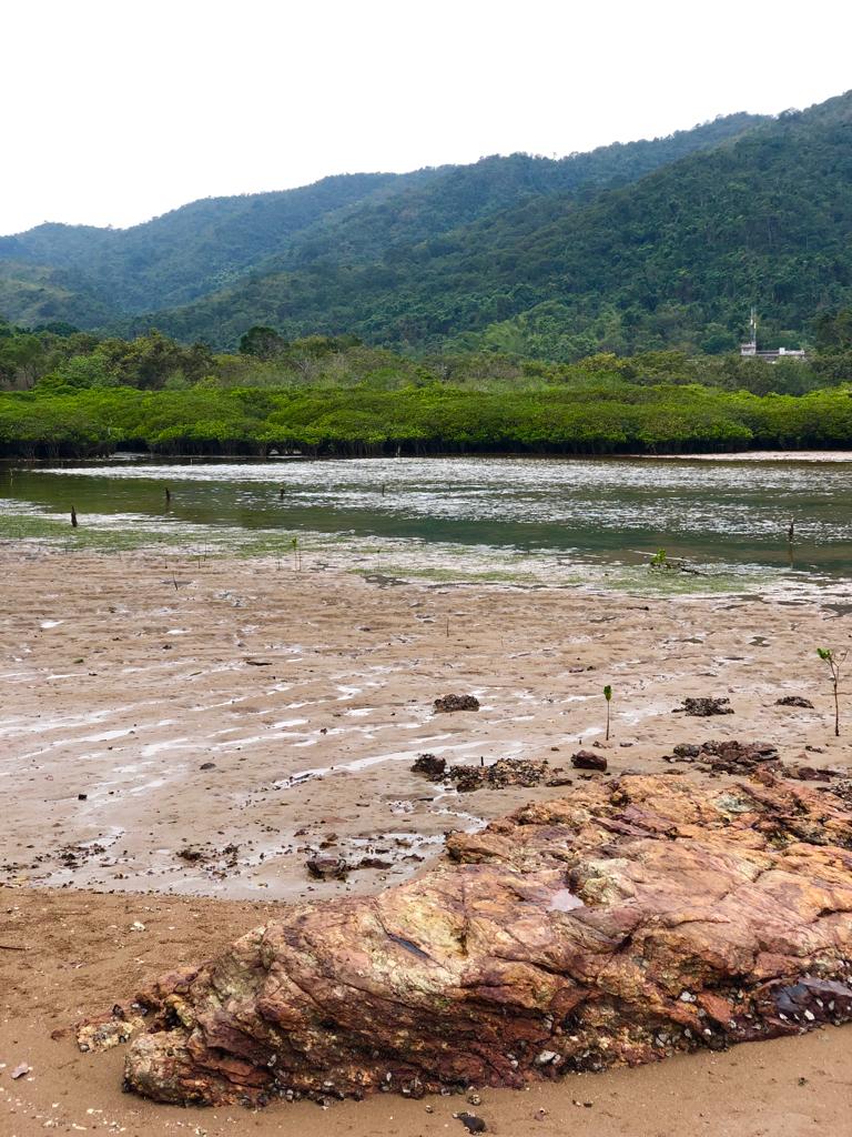 印洲塘海岸公園圖片4