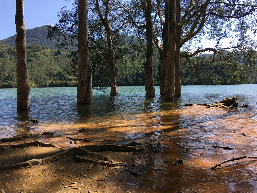 城門郊野公園圖片10