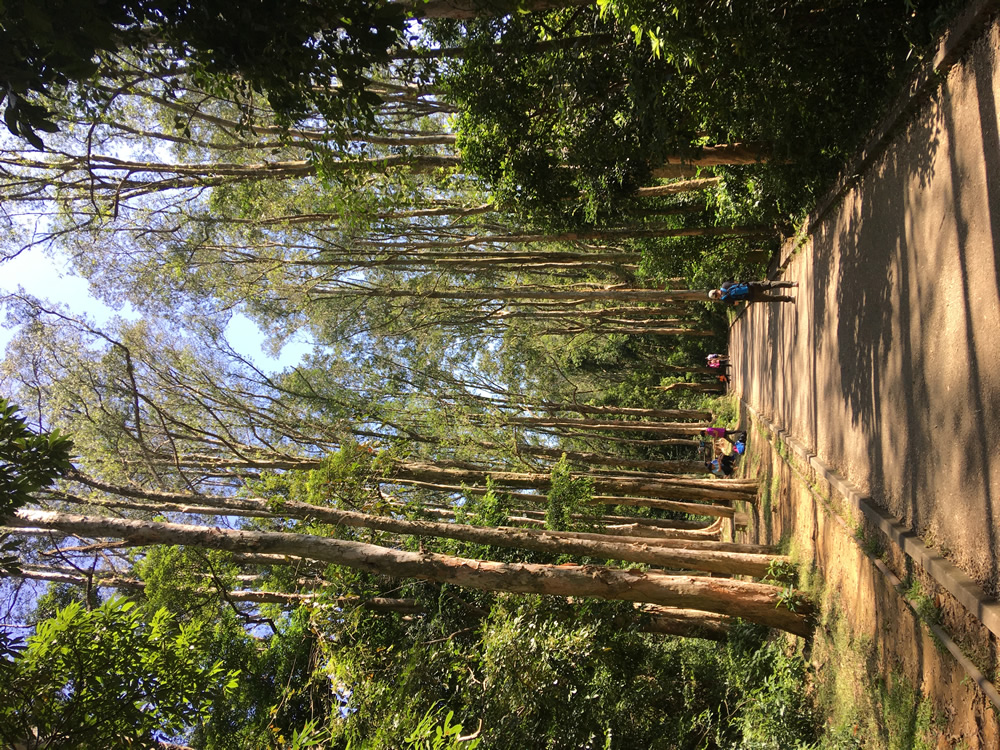 城门郊野公园图片8