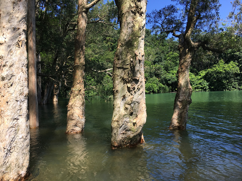 Shing Mun Country Park photo9