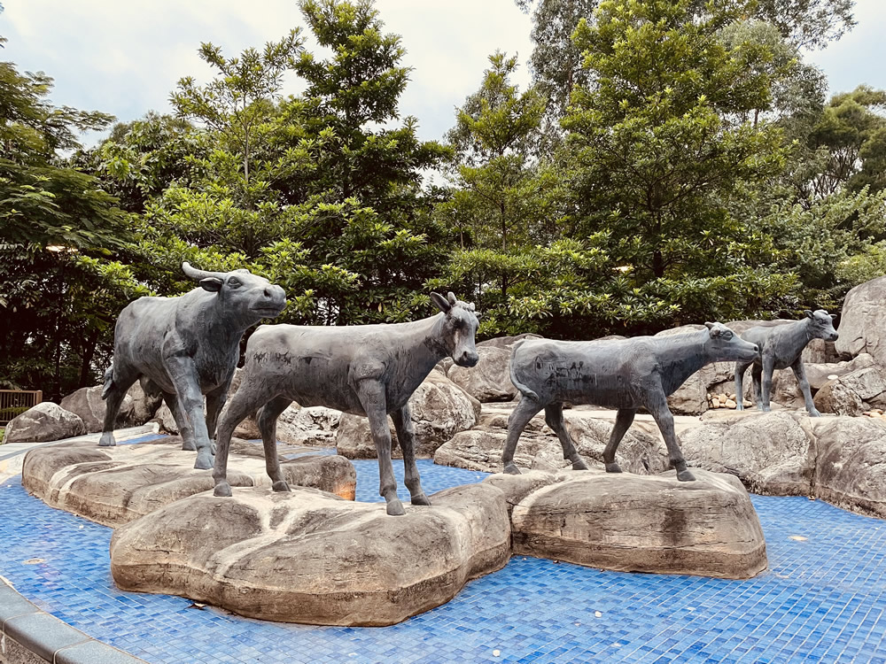 牛池灣公園圖片3