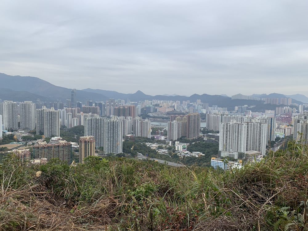 青衣自然径 — 葵青庆回归健康径段图片4