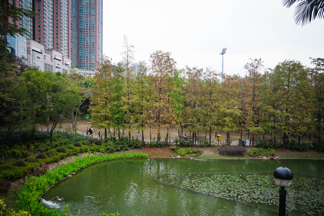 青衣公园图片1