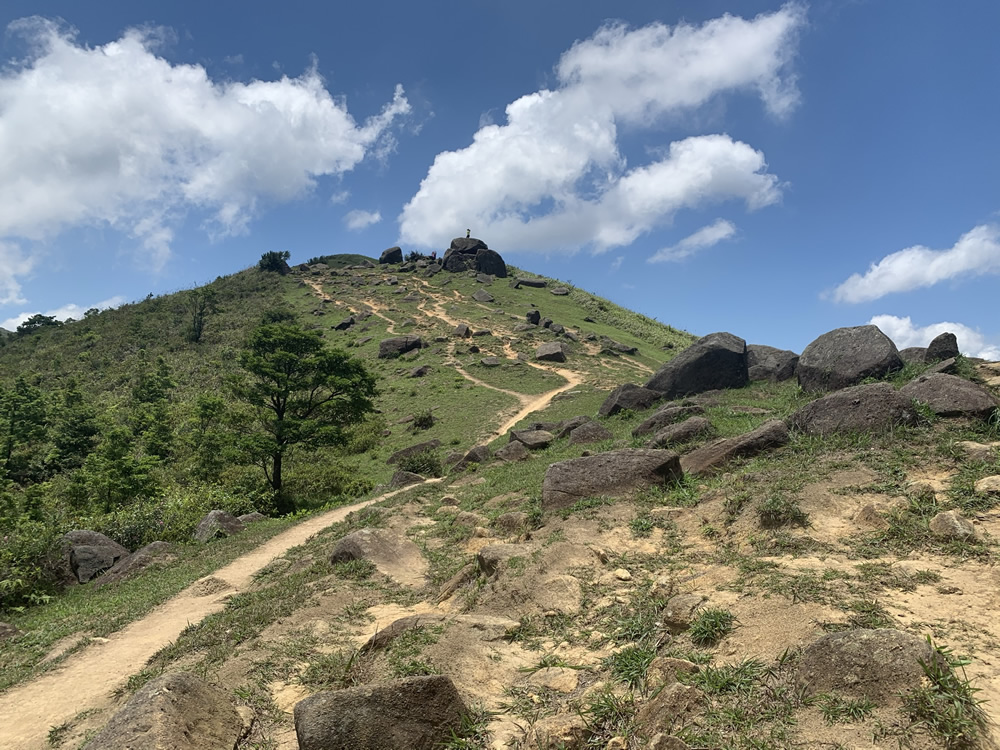 Tai Mo Shan Country Park photo2