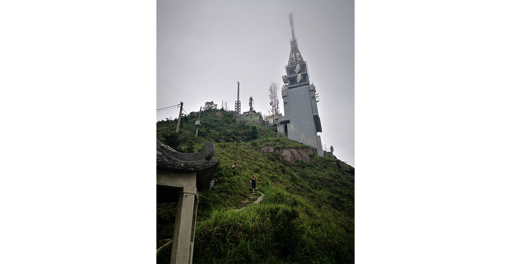 青山图片1