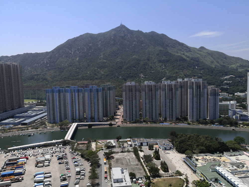 青山图片2