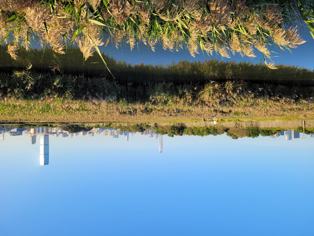 The Mai Po Nature Reserve photo3