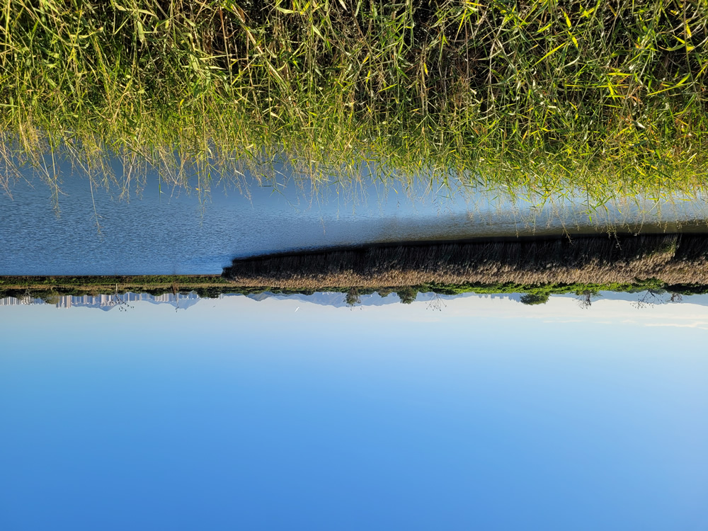 The Mai Po Nature Reserve photo4