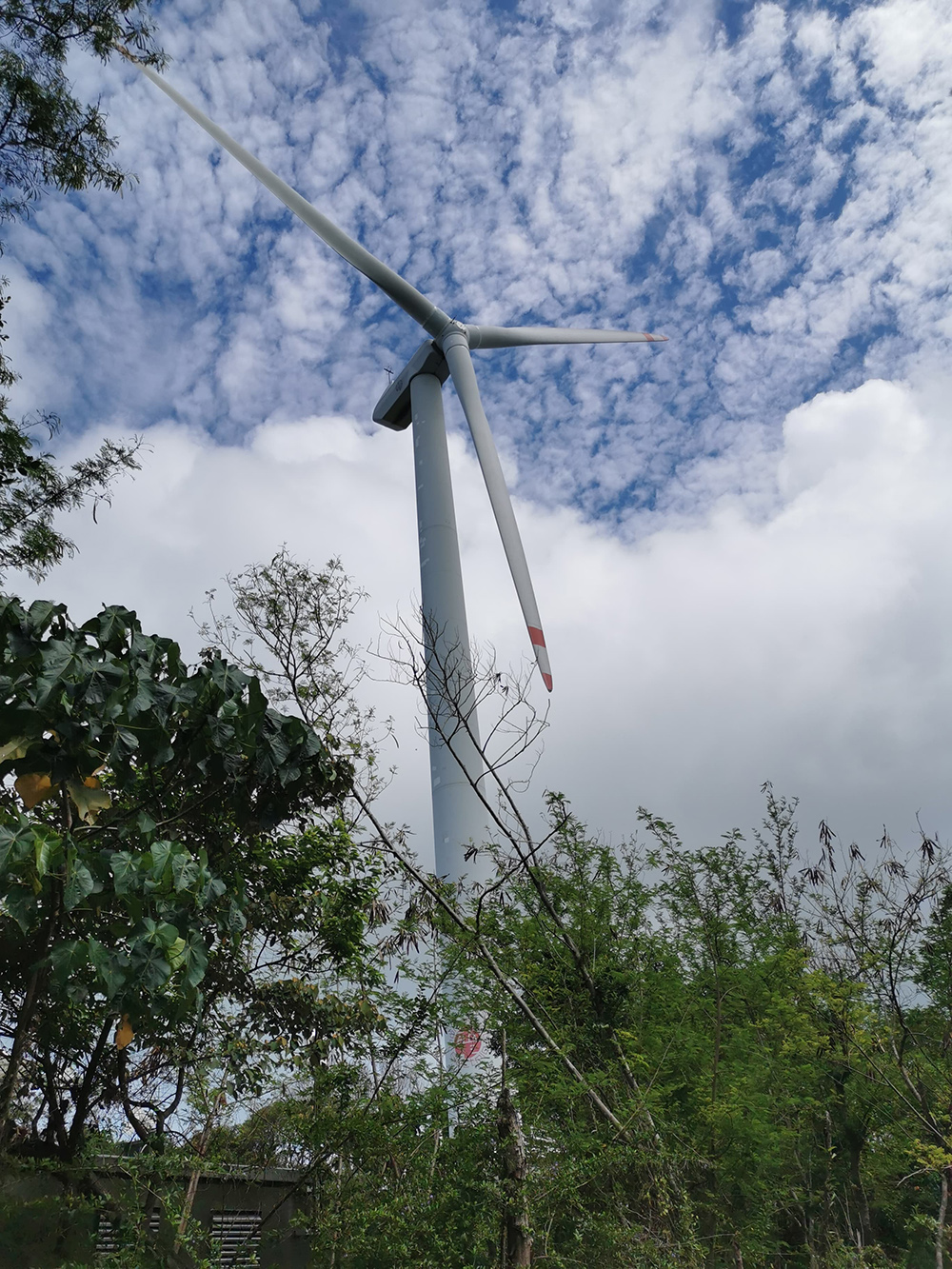 Lamma Winds photo1