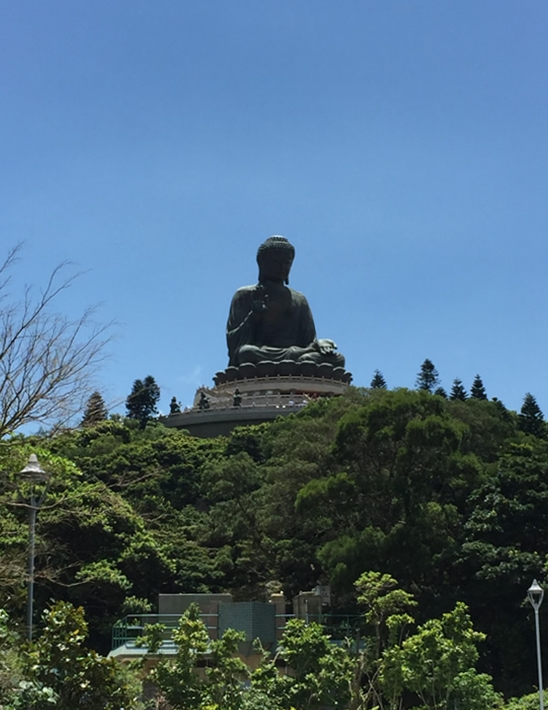 宝莲禅寺及天坛大佛图片5