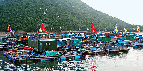 Sok Kwu Wan Fish Rafts & Lamma Fisherfolk’s Village photo2