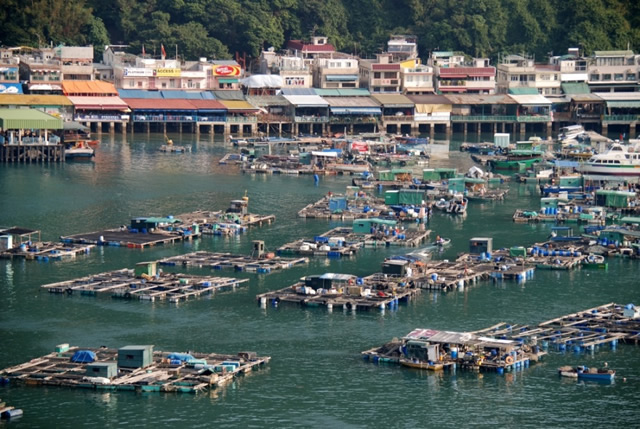 Sok Kwu Wan Fish Rafts & Lamma Fisherfolk’s Village photo3