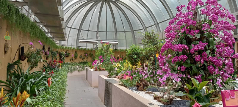 香港動植物公園圖片3