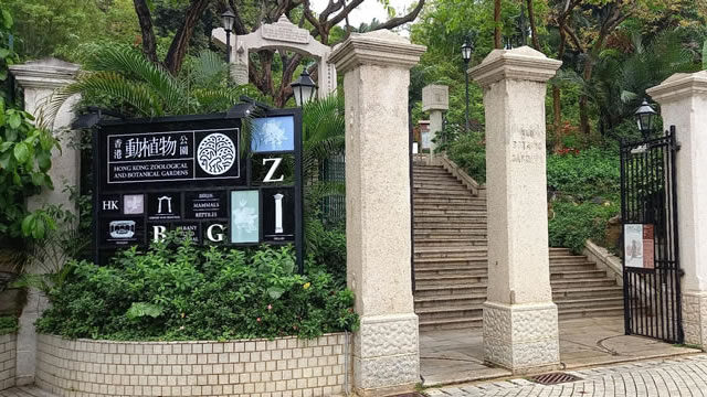 The Hong Kong Zoological and Botanical Gardens photo5