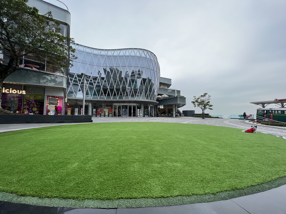 太平山顶及山顶缆车图片6