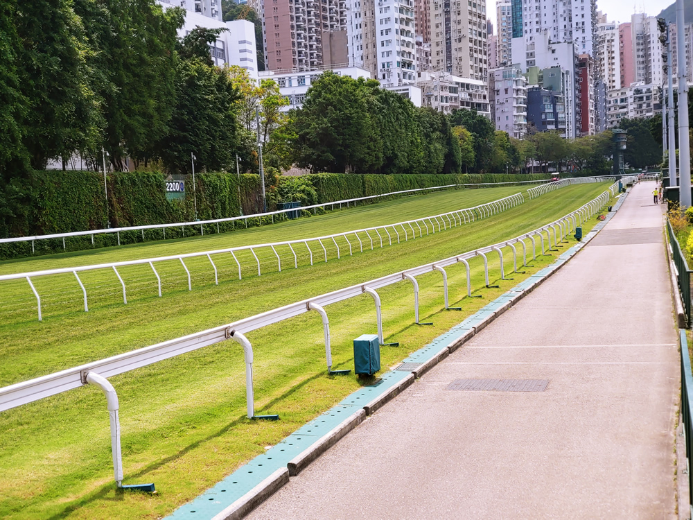 跑马地马场及香港赛马博物馆图片2