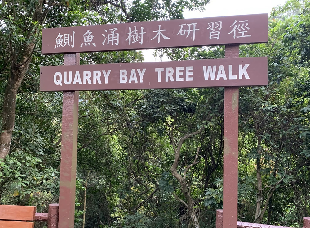 Tai Tam Country Park (Quarry Bay Extension) photo5