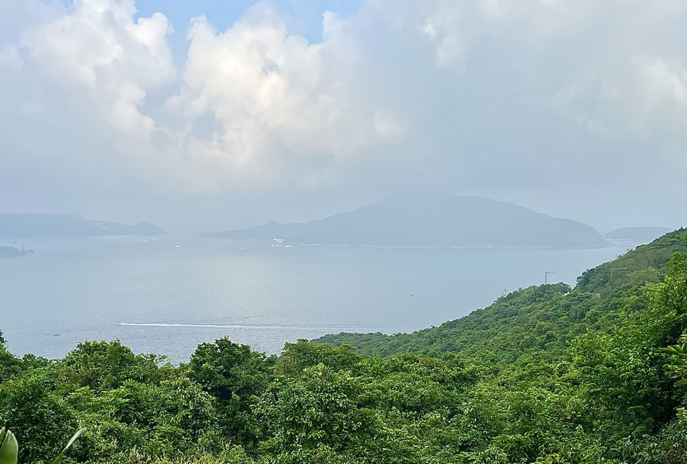 龍躍徑及黑角徑圖片10