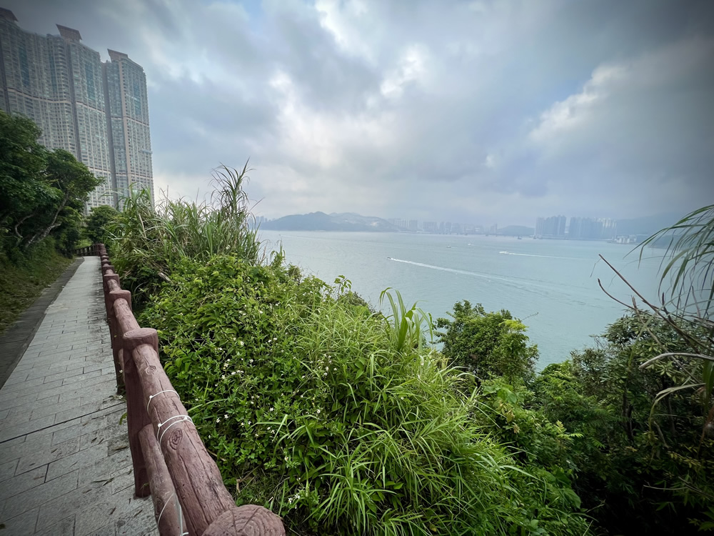 龍躍徑及黑角徑圖片5