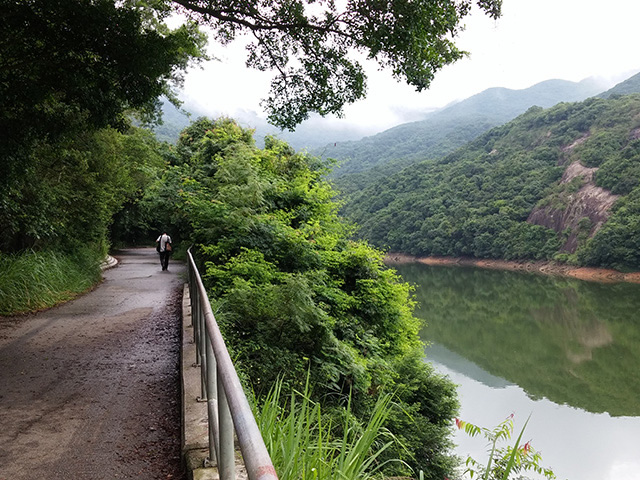 薄扶林郊野公園及薄扶林水塘圖片2