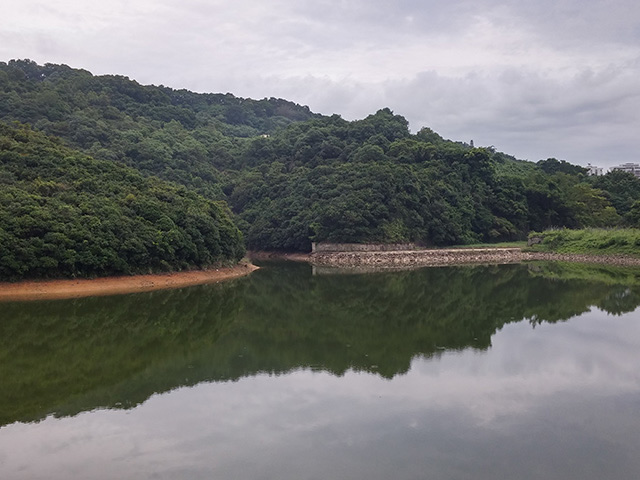 薄扶林郊野公園及薄扶林水塘圖片3