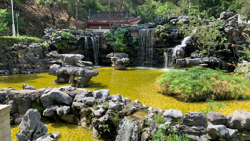 觀塘市中心大型休憩公園圖片3