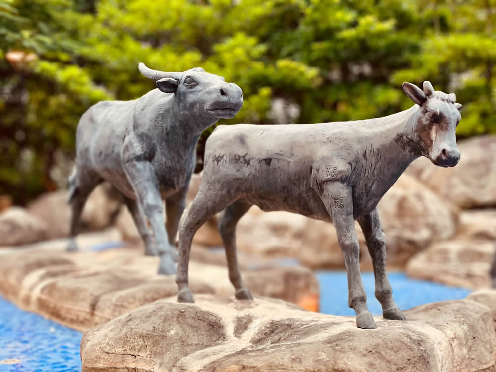 Ngau Chi Wan Park photo4