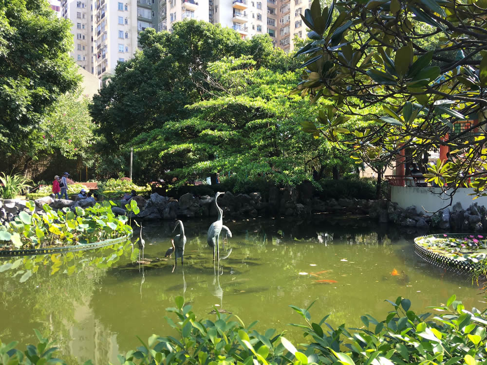 Lingnan Garden in Lai Chi Kok Park photo9