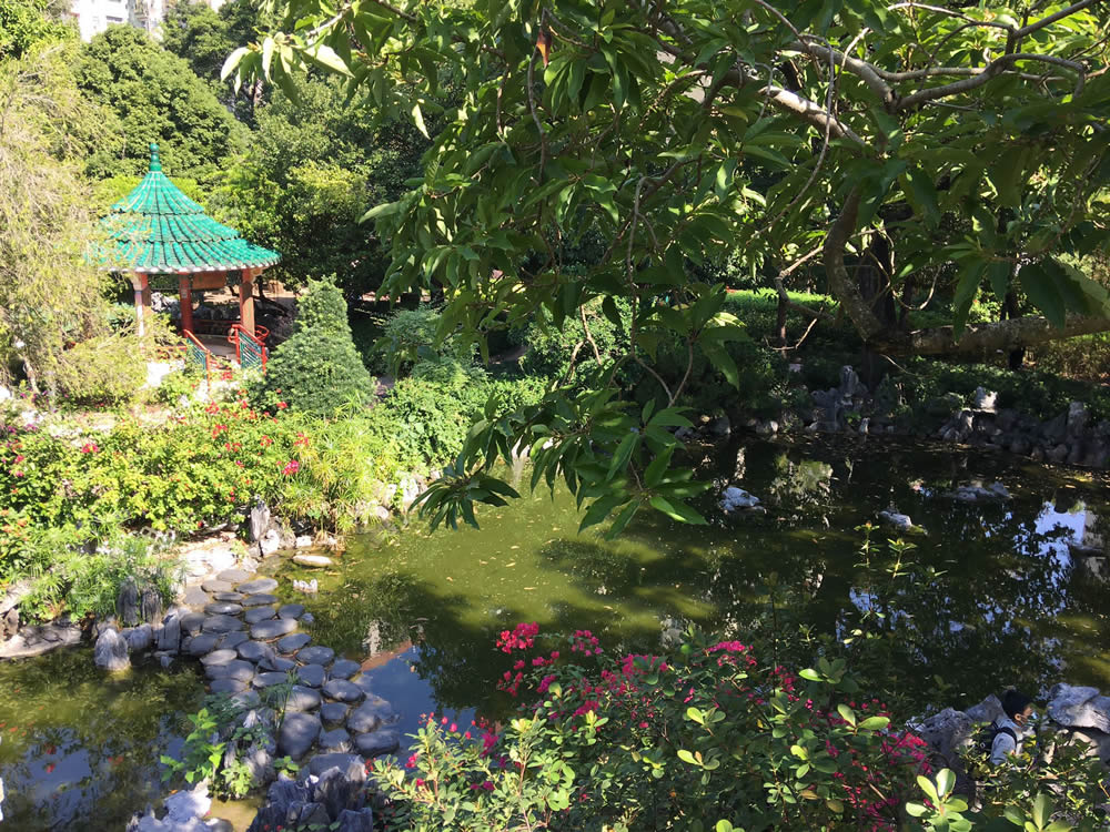 Lingnan Garden in Lai Chi Kok Park photo6