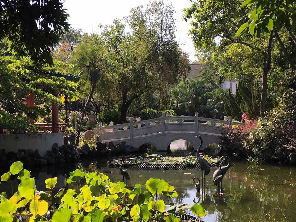 Lingnan Garden in Lai Chi Kok Park photo8